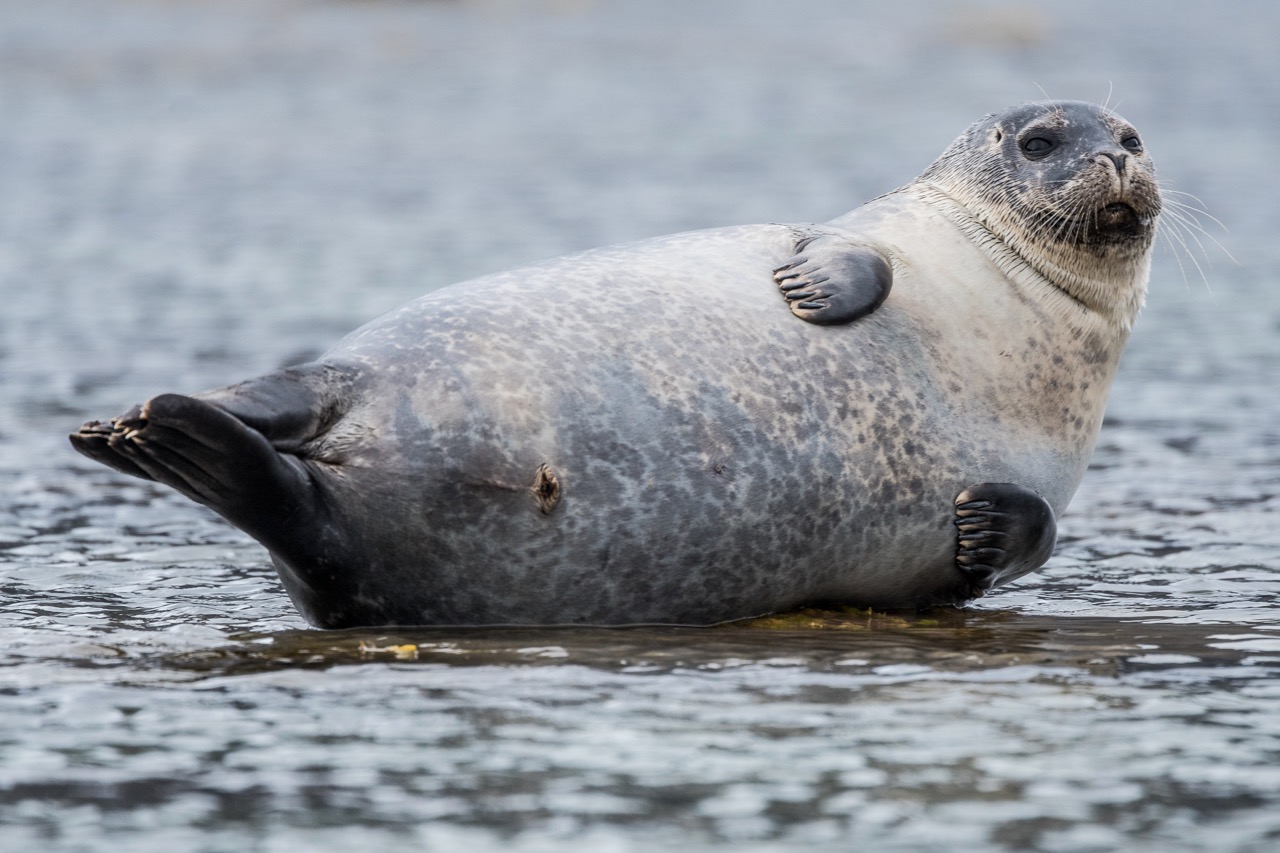 Bild kann nicht angezeigt werden