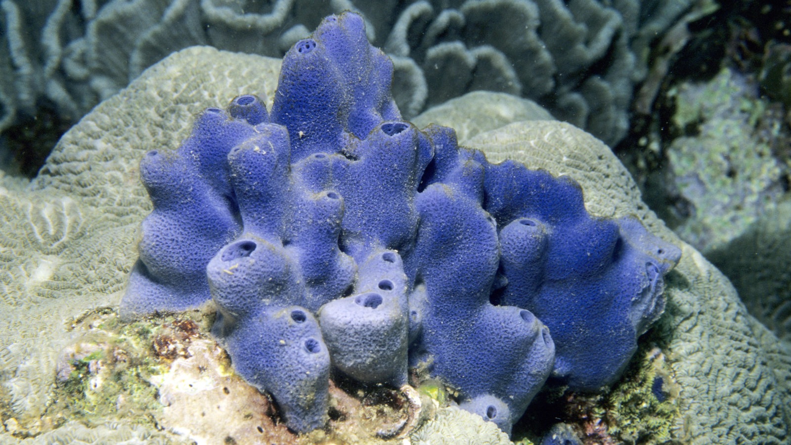 Bild kann nicht angezeigt werden